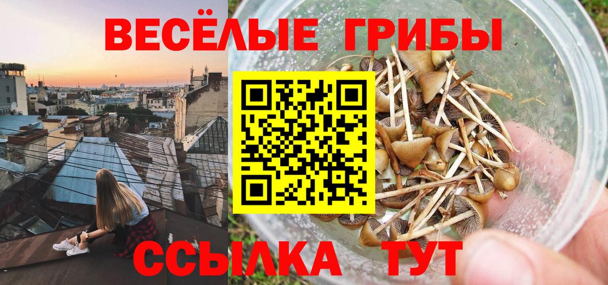 Галлюциногенные грибы Cubensis  Вход с VPN  Кисловодск  Галлюциногенные грибы мухоморы 
